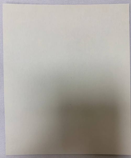 Ікона св. муч. Ніка (Вікторія)