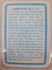 Ламінована ікона Христос Лоза Істинна