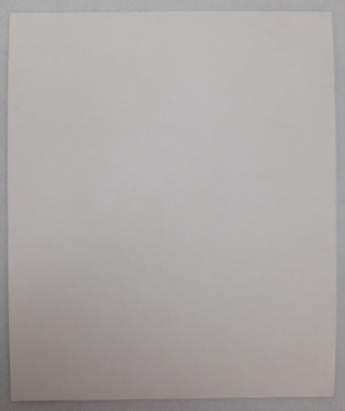 Ікона св. єп. Микита Новгородський