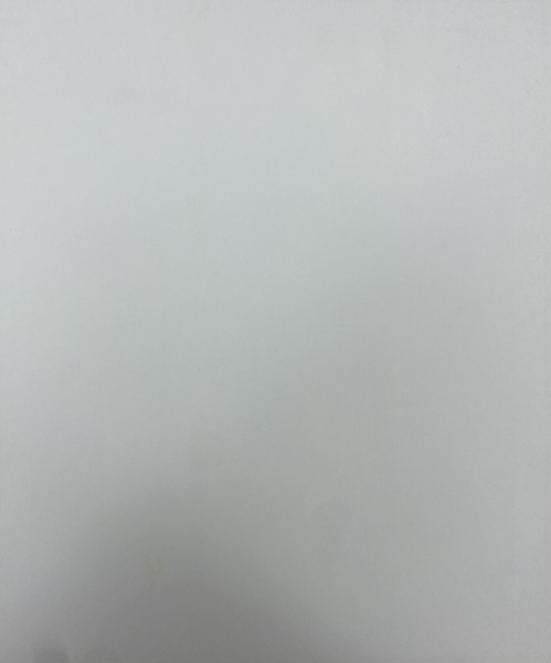 Ікона Спас в терновому вінці 24х20см