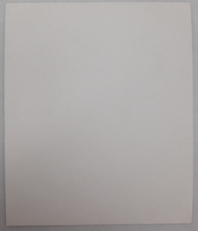 Ікона св. прав. кн. Владислав Сербський