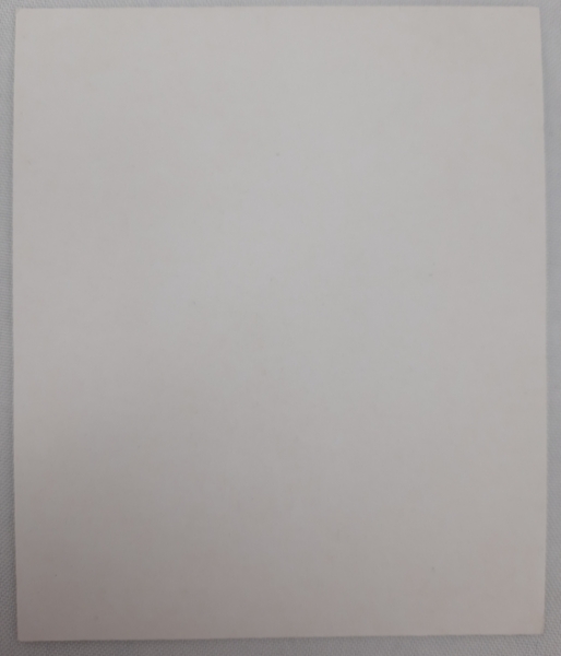 Ікона св. прав. кн. Владислав Сербський