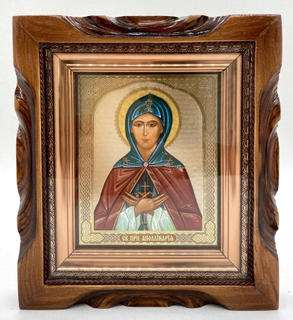 Ікона свт. прп. Аполлінарій 19х17