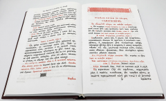 Триодь цветная