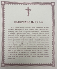 Ікона Христос Лоза Істинна 15х18см 