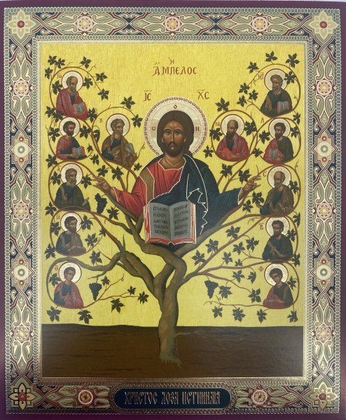 Ікона Христос Лоза Істинна 15х18см 