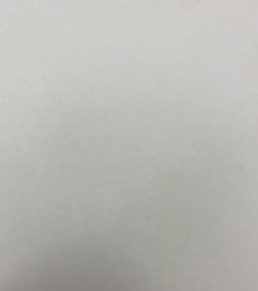 Ікона Спас в терновому вінці 15х18см 