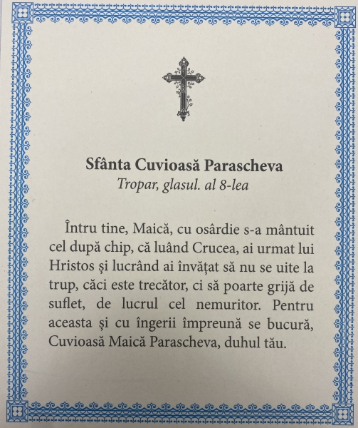 Ікона св. Параскева Іконійська 24х20см