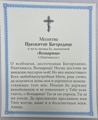 Ікона Богородиці &quot;Всецариця&quot; 24х20см