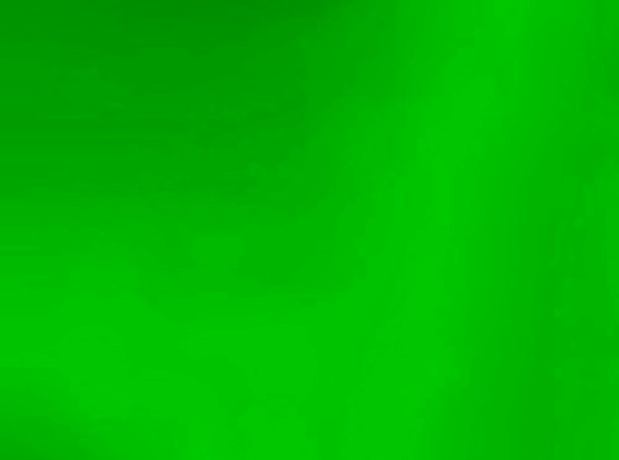 Булат для куполів і покрівлі (Зелений)