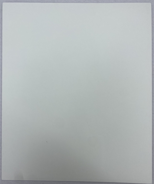 Ікона Богородиці "Нев'янучий цвіт" (Т. Р.) 24х20см