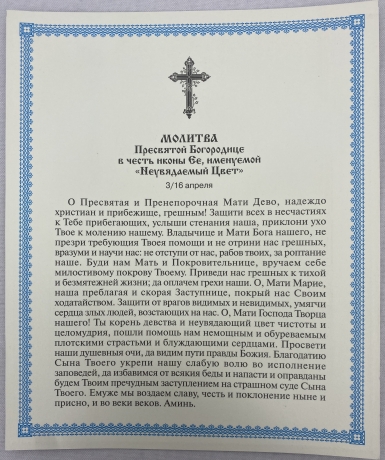 Ікона Богородиці "Нев'янучий цвіт" (З. Р.) 24х20см