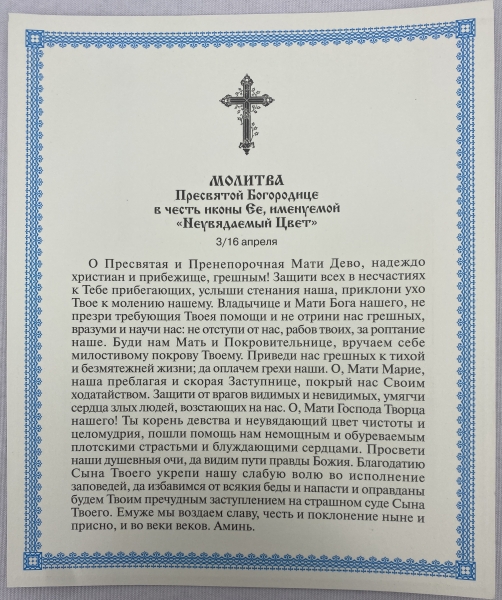 Ікона Богородиці "Нев'янучий цвіт" (З. Р.) 24х20см