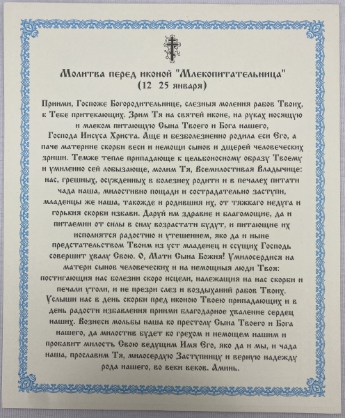 Ікона Богородиці "Годувальниця" 24х20см