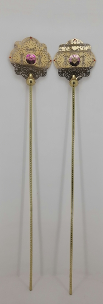 Рипіди пара