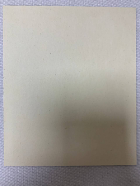 Ікона св. блаж. Матрона (З. Ф.)