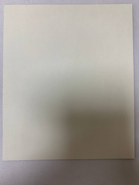 Ікона св. муч. Світлана