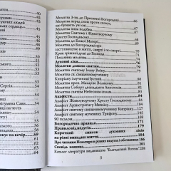 Молитовний щит. Молитви на захист від зла і ворожнечі