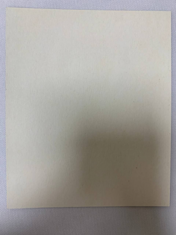 Ікона св. муч. Зінаїда