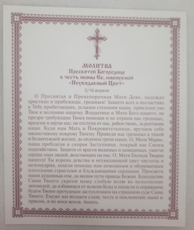 Ікона Богородиці "Нев'янучий цвіт" З. Ф.